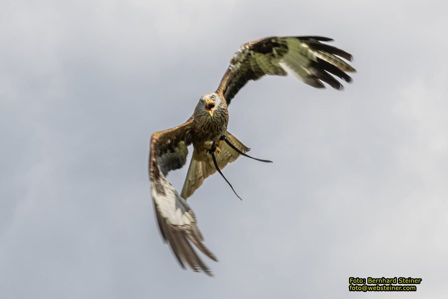 Renaissanceschloss Rosenburg, Juni 2023