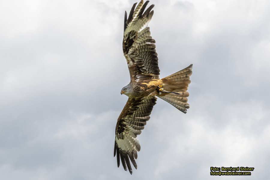 Renaissanceschloss Rosenburg, Juni 2023