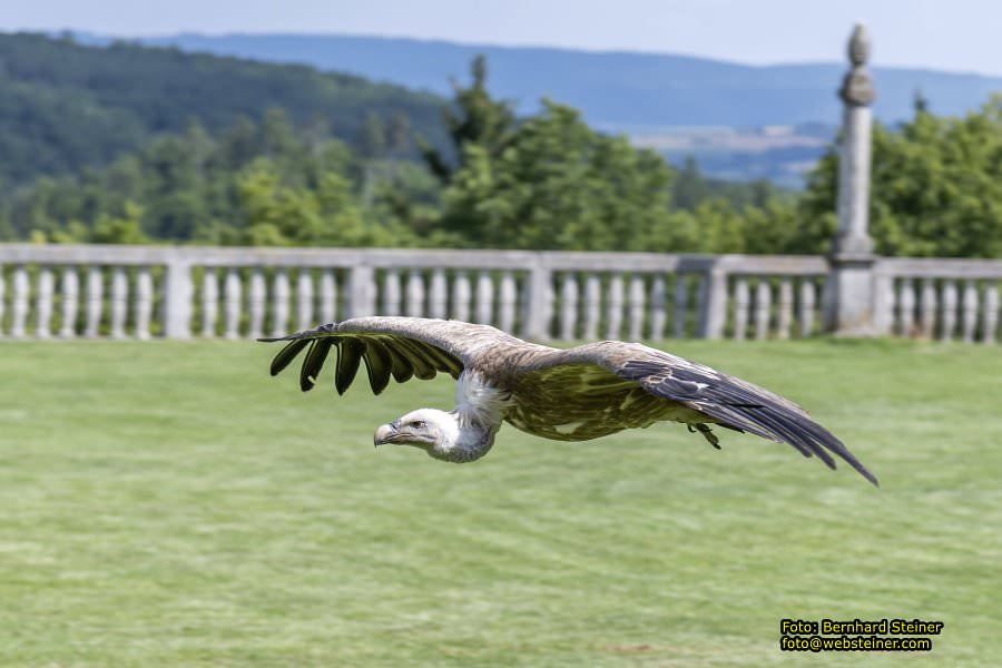 Renaissanceschloss Rosenburg, Juni 2023