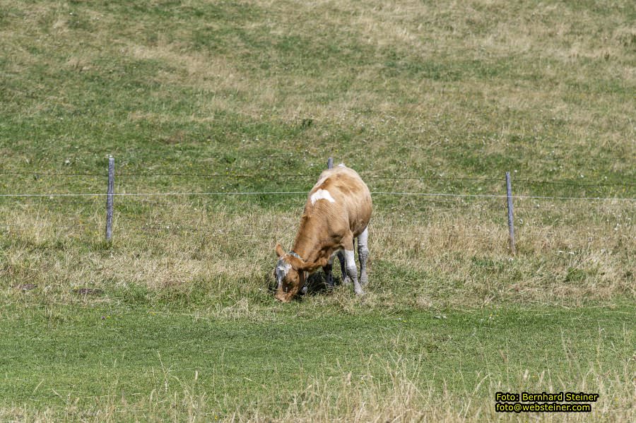 Schneeberg Sesselbahn, August 2023