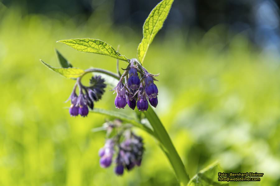 Semmering Kabinenbahn, August 2023