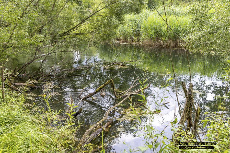 Steinschaler Naturg�rten, Juli 2023