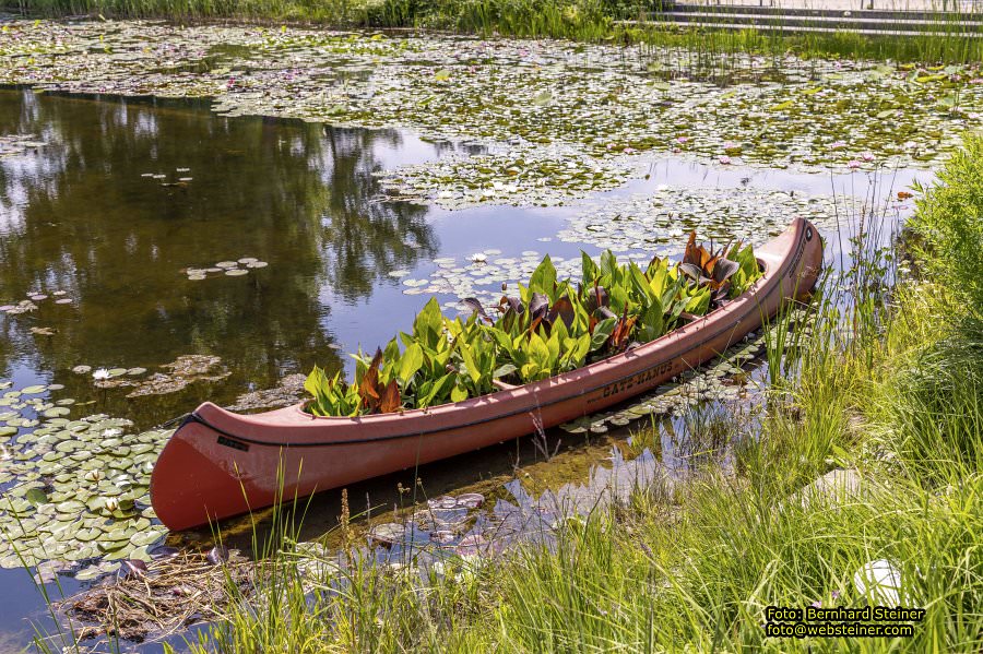 Tulln an der Donau, Juni 2023