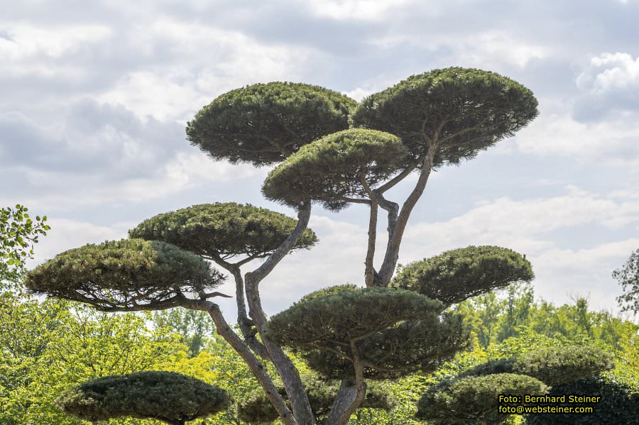 Tulln an der Donau, Juni 2023