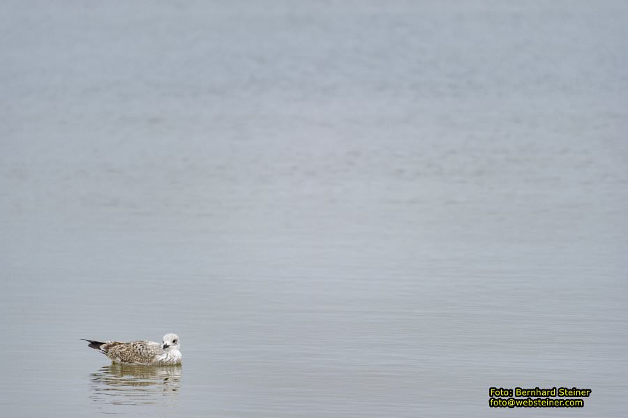 Usedom, November 2012