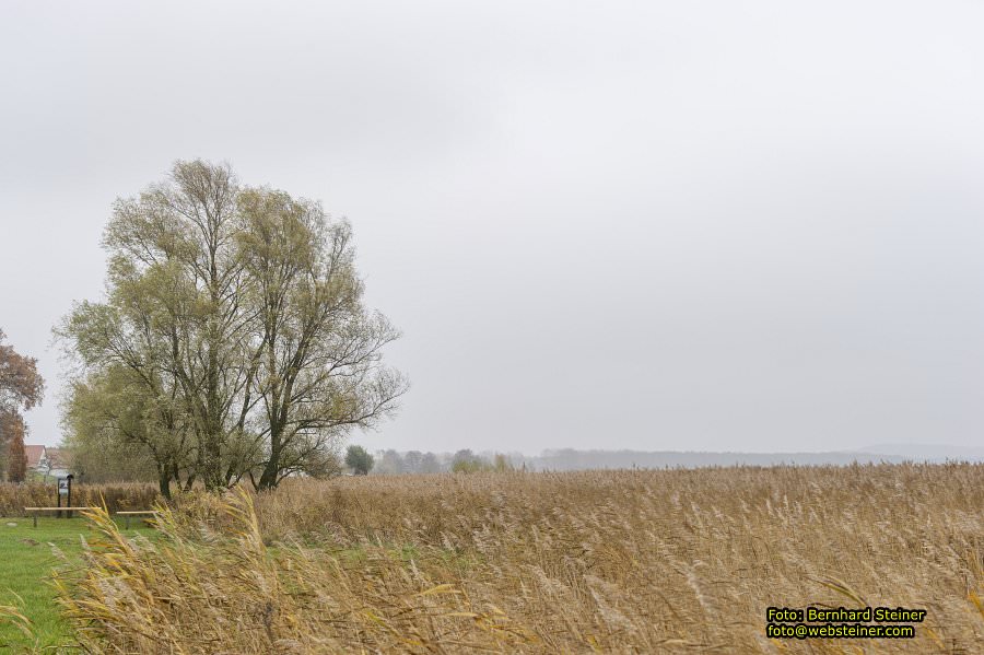 Usedom, November 2012