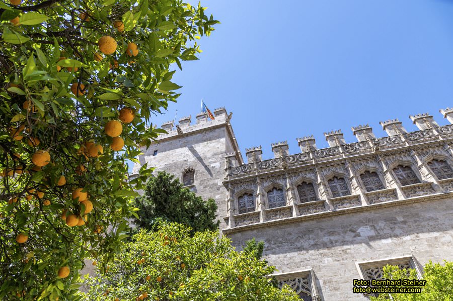 Valencia, Spain, July 2024