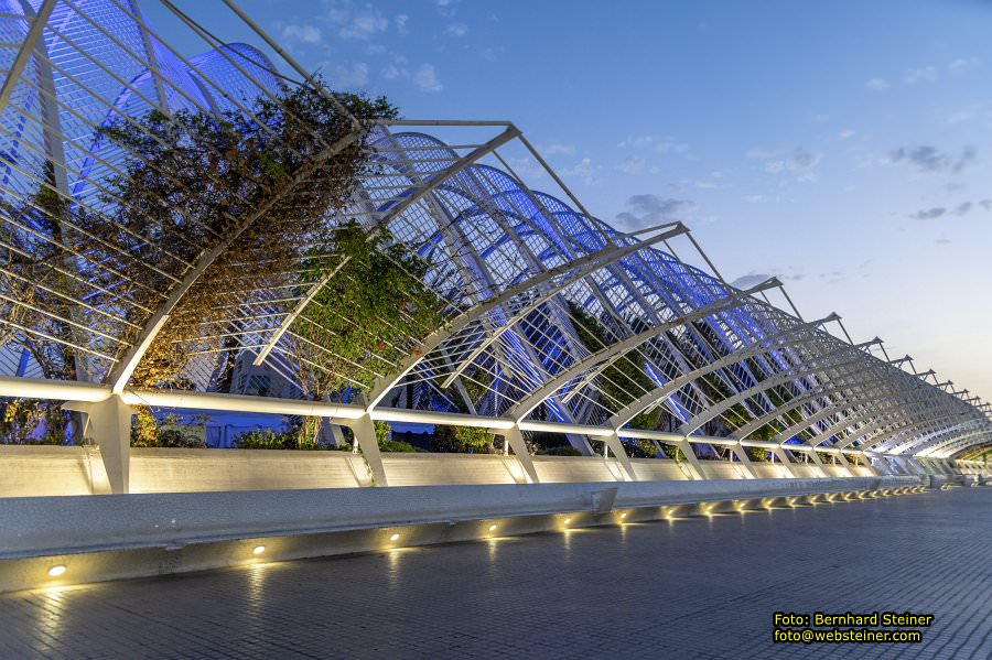 Valencia, Spain, July 2024