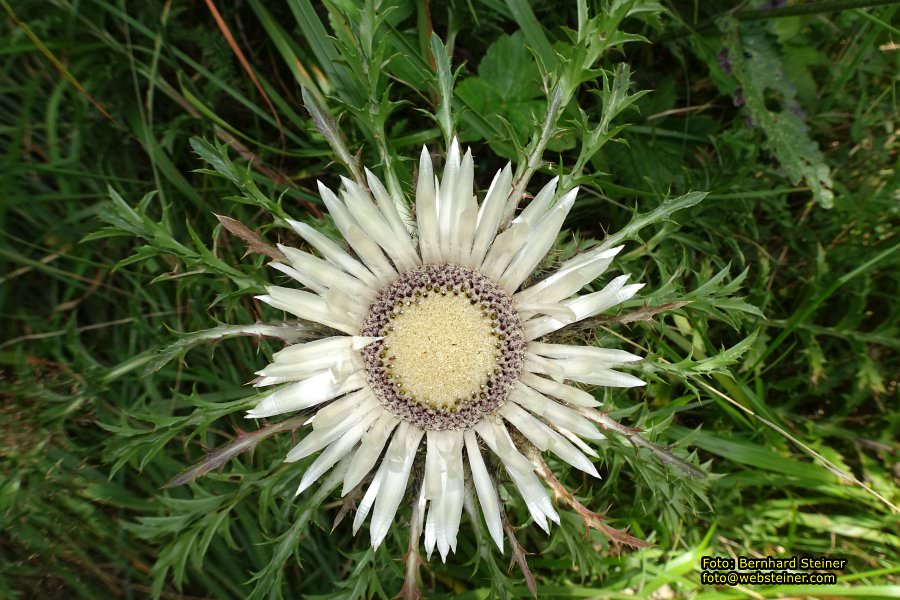Viktorsberg in Vorarlberg, August 2017