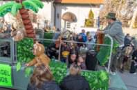 Zillingdorfer Faschingsumzug, 04.03.2025
