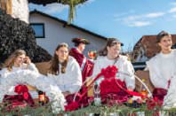 Zillingdorfer Faschingsumzug, 17.02.2026