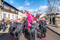 Zillingdorfer Faschingsumzug, 17.02.2026