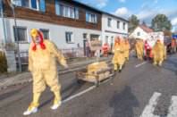Zillingdorfer Faschingsumzug, 17.02.2026