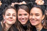 Zillingdorfer Faschingsumzug, 17.02.2026